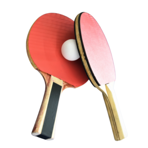 SpinMaster Table Tennis Ball